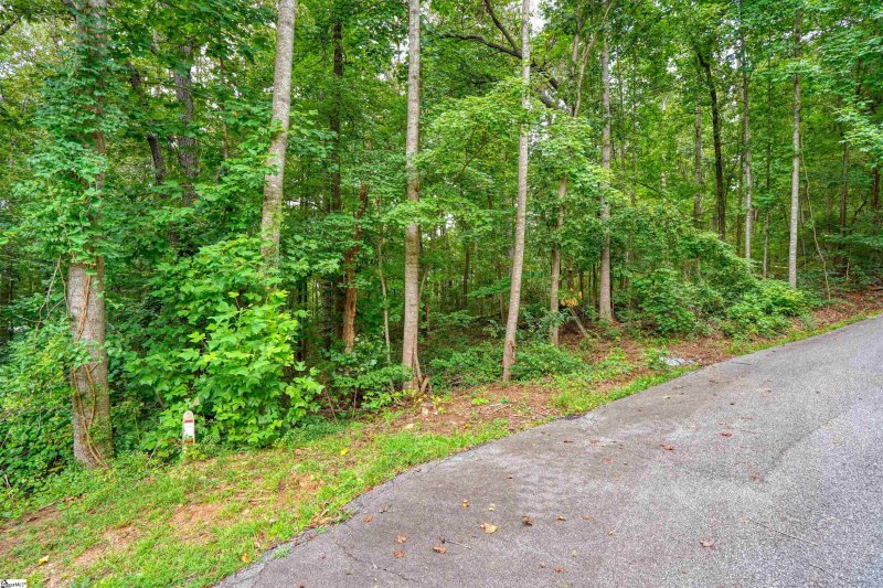 Property image 5 at 00 Sequayah Drive, Fair Play, SC 29643