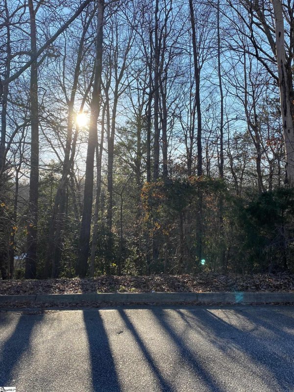 Property image 3 at 00 River Park Lane, Taylors, SC 29687