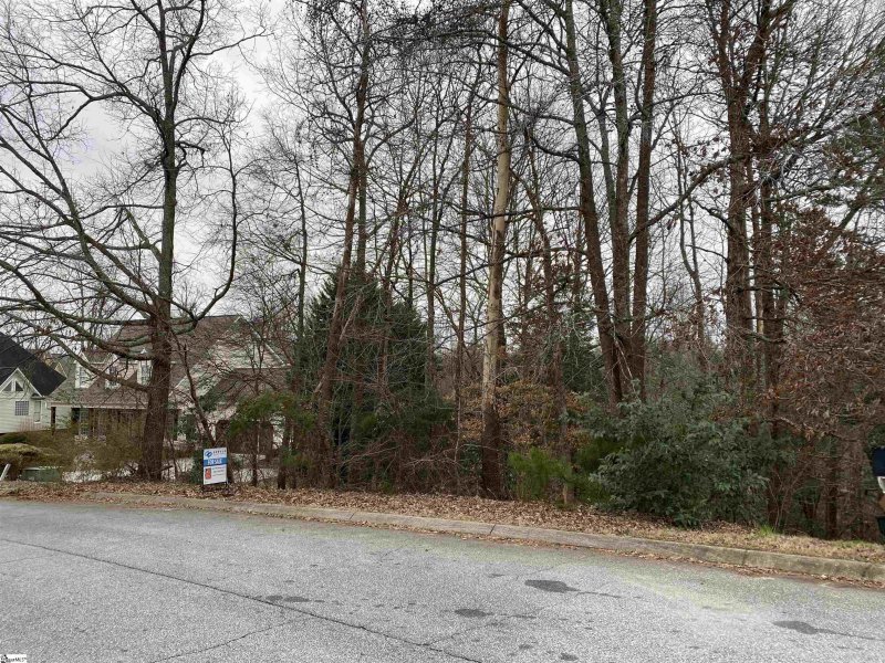 Property image 4 at 00 River Park Lane, Taylors, SC 29687