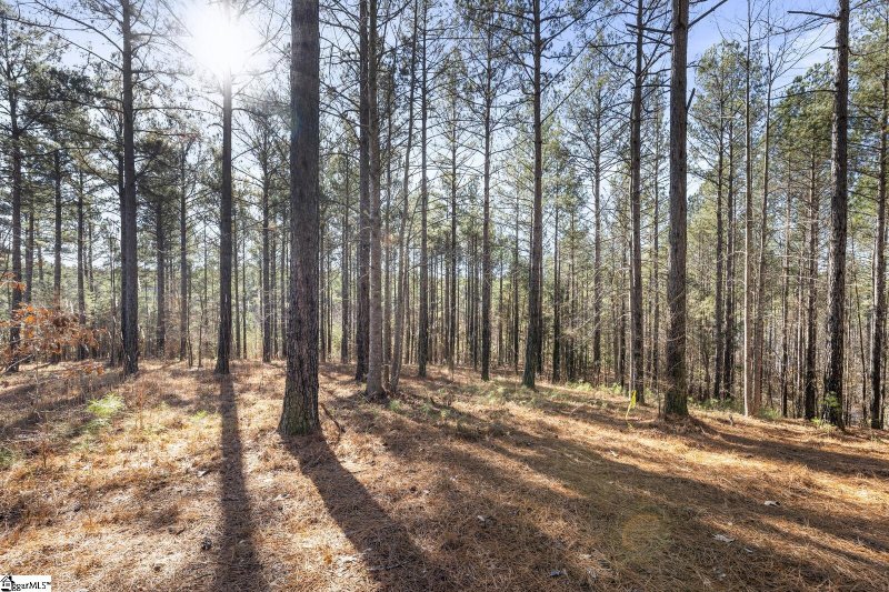 Property image 3 at 000 Spring Cove Way, Six Mile, SC 29682