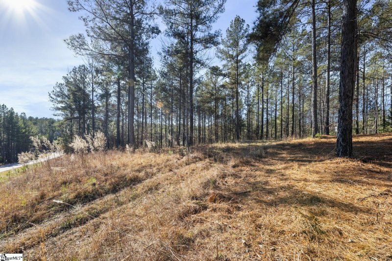 Property image 4 at 000 Spring Cove Way, Six Mile, SC 29682
