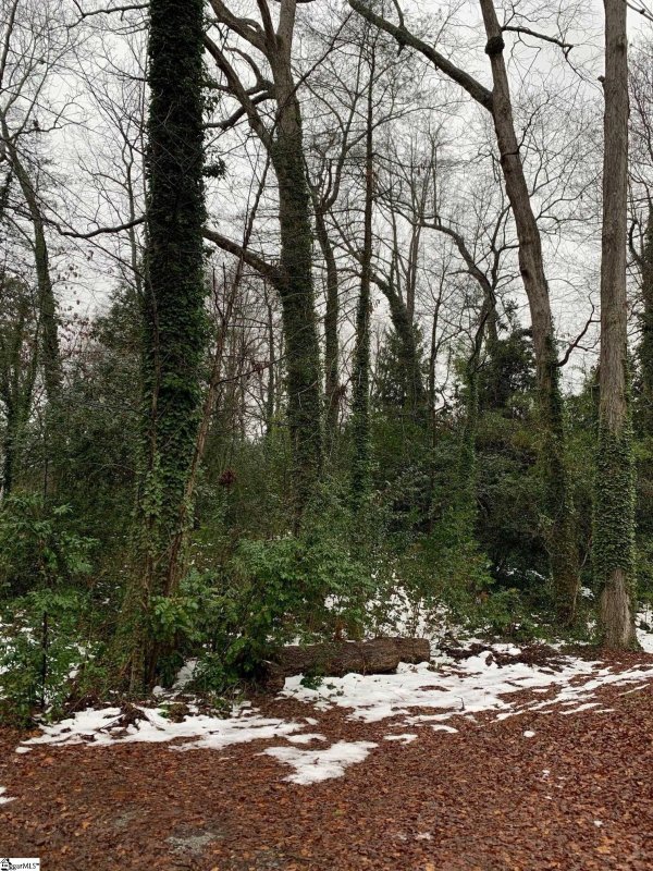 Property image 2 at 128 Fernwood Lane, Greenville, SC 29607