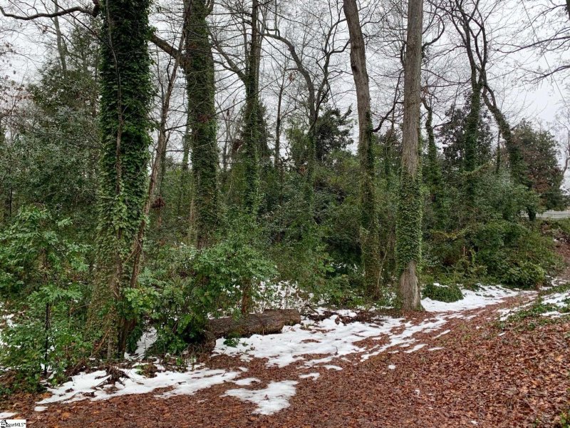 Property image 4 at 128 Fernwood Lane, Greenville, SC 29607