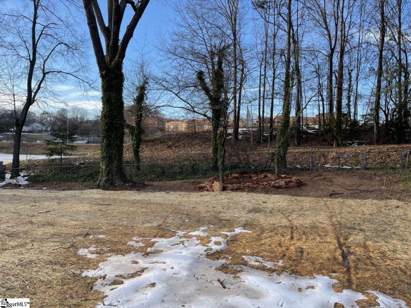 Property image 3 at 245 Lowndes Avenue, Greenville, SC 29607