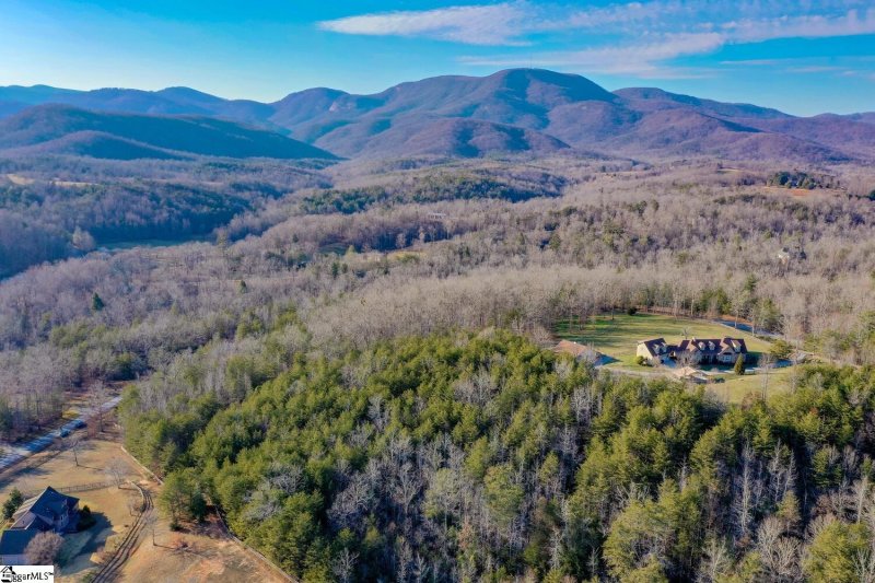Property image 2 at 119 Pardo Road, Landrum, SC 29356