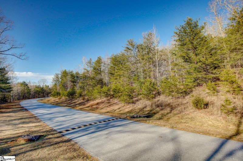 Property image 3 at 119 Pardo Road, Landrum, SC 29356