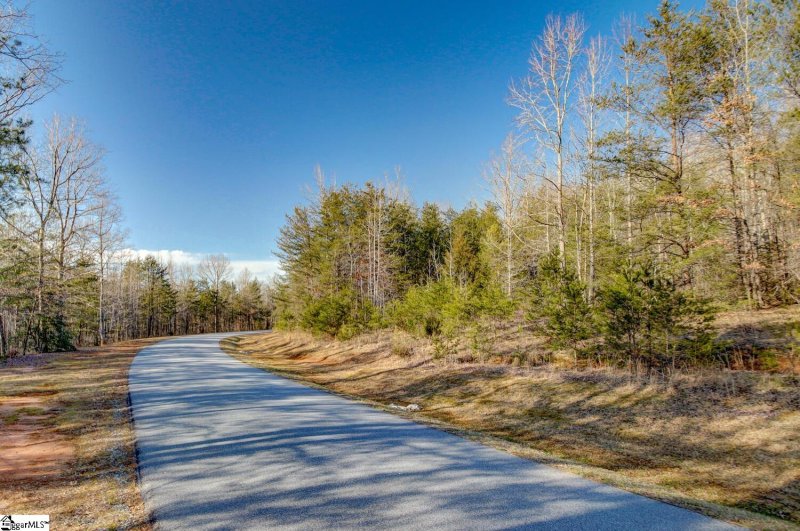 Property image 4 at 119 Pardo Road, Landrum, SC 29356