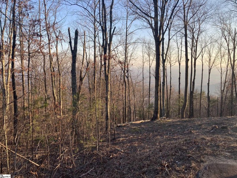 Property image 2 of 16 Lost Trail Drive in The Cliffs at Glassy, Landrum, SC 29356