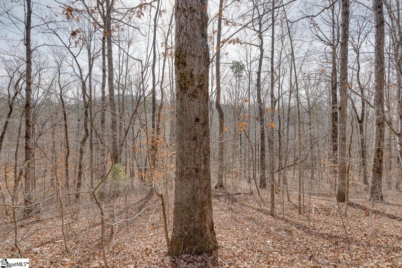 Property image 3 at 196 Julie Way, Pickens, SC 29671