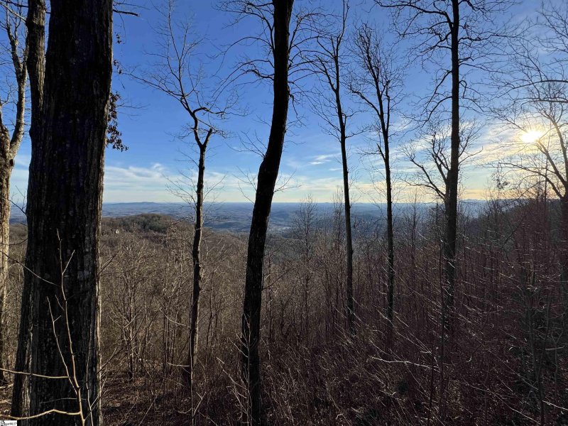 Property image 3 of 260 Bella Vista Court in Cliffs Valley, Zirconia, NC 28790