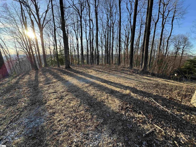 Property image 5 of 260 Bella Vista Court in Cliffs Valley, Zirconia, NC 28790