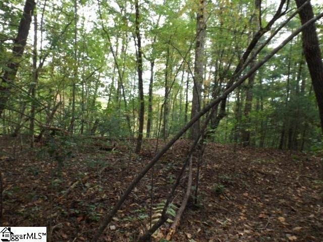 Property image 3 at 173 Broken Bow, Pickens, SC 29671