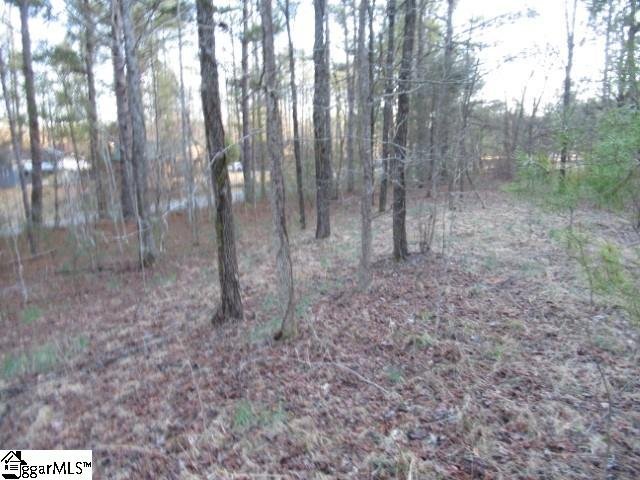 Property image 5 at 0 Matthews Creek Lane, Cleveland, SC 29635