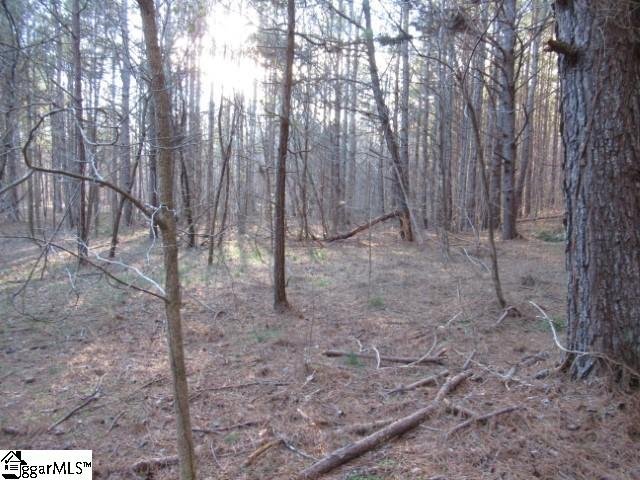 Property image 5 at 5 Matthews Creek Lane, Cleveland, SC 29635