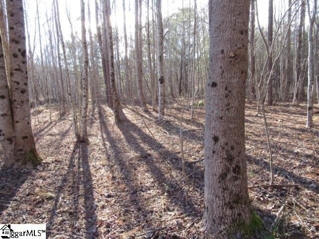 Property image 4 at 7 Matthews Creek Lane, Cleveland, SC 29635