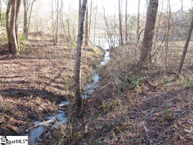 Property image 5 at 7 Matthews Creek Lane, Cleveland, SC 29635