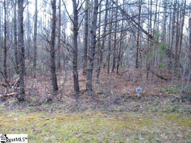 Property image 3 at 16 River Rock Court, Cleveland, SC 29635