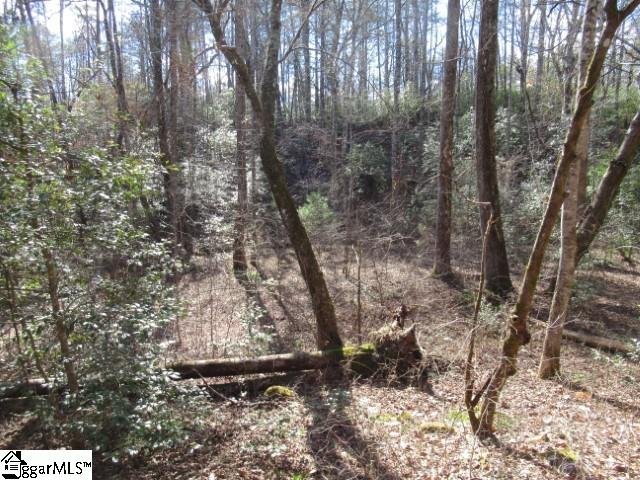 Property image 5 at 16 River Rock Court, Cleveland, SC 29635