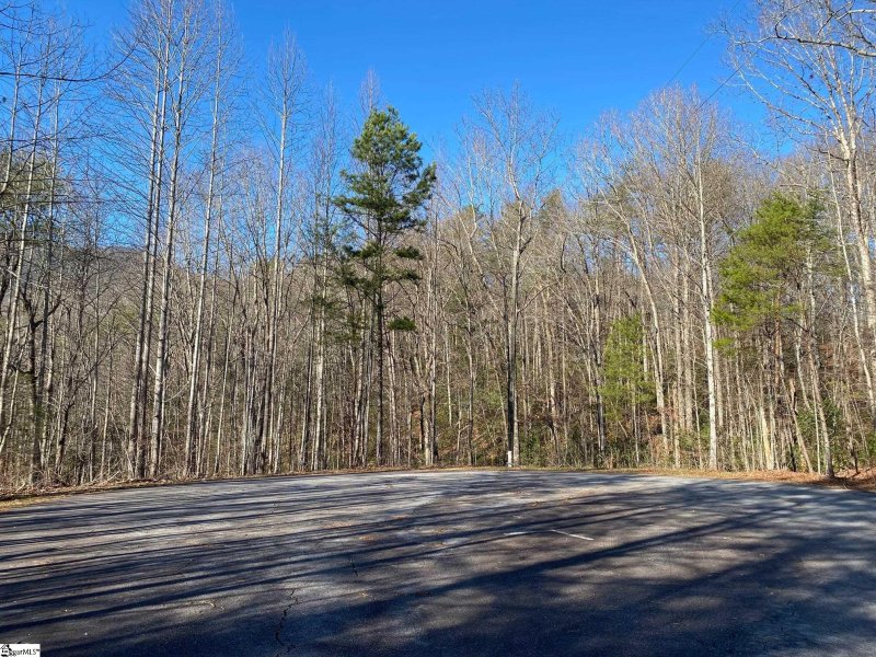 Property image 3 at 113 Matthews Creek Lane, Cleveland, SC 29635