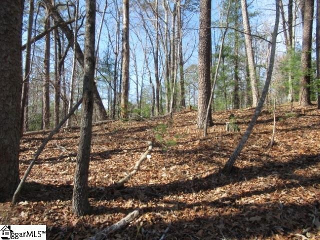 Property image 2 at 111 Oolenoy Court, Pickens, SC 29671