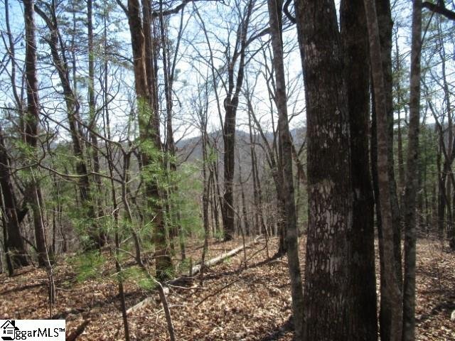 Property image 4 at 111 Oolenoy Court, Pickens, SC 29671