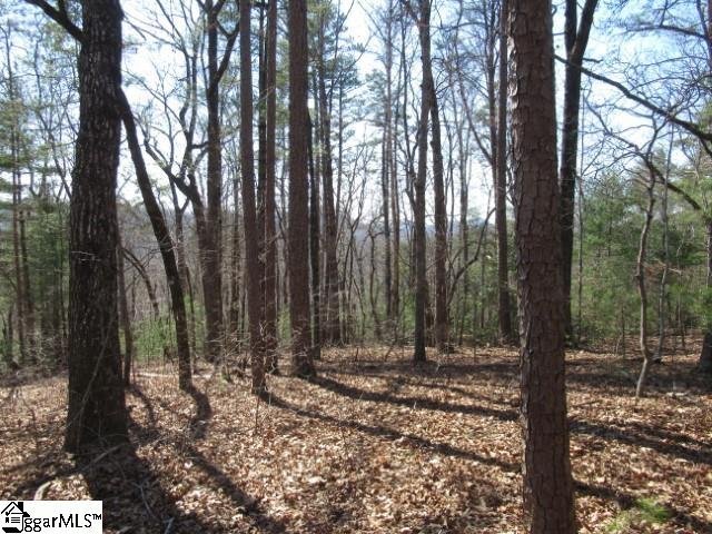 Property image 5 at 111 Oolenoy Court, Pickens, SC 29671