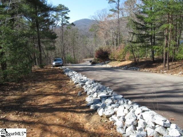 Property image 3 at 115 Oolenoy Court, Pickens, SC 29671