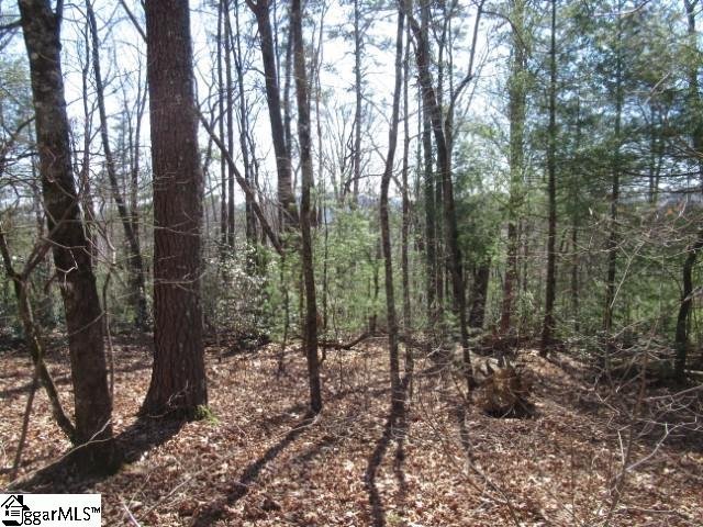 Property image 5 at 115 Oolenoy Court, Pickens, SC 29671