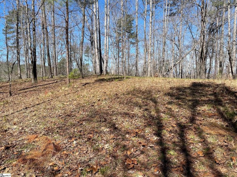 Property image 2 at 114 Edgestone Way, Six Mile, SC 29682