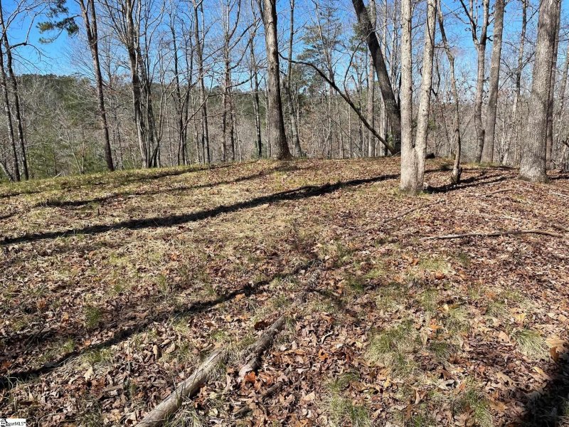 Property image 3 at 114 Edgestone Way, Six Mile, SC 29682