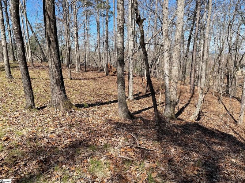 Property image 4 at 114 Edgestone Way, Six Mile, SC 29682