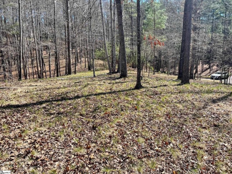 Property image 5 at 114 Edgestone Way, Six Mile, SC 29682