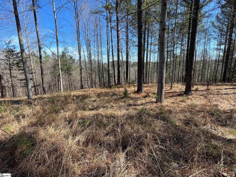 Property image 3 at 176 Creek Stone Court, Six Mile, SC 29682