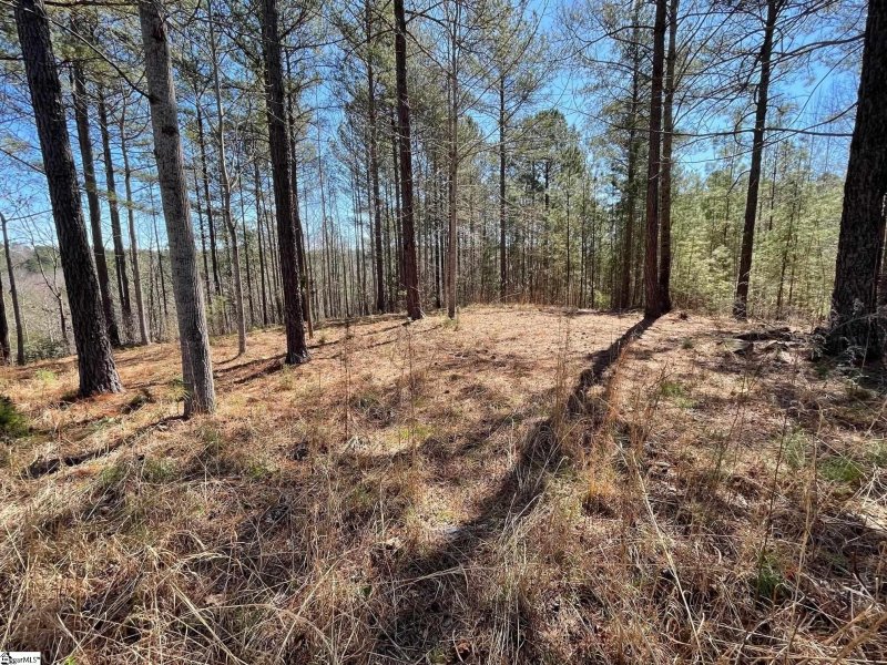 Property image 5 at 176 Creek Stone Court, Six Mile, SC 29682