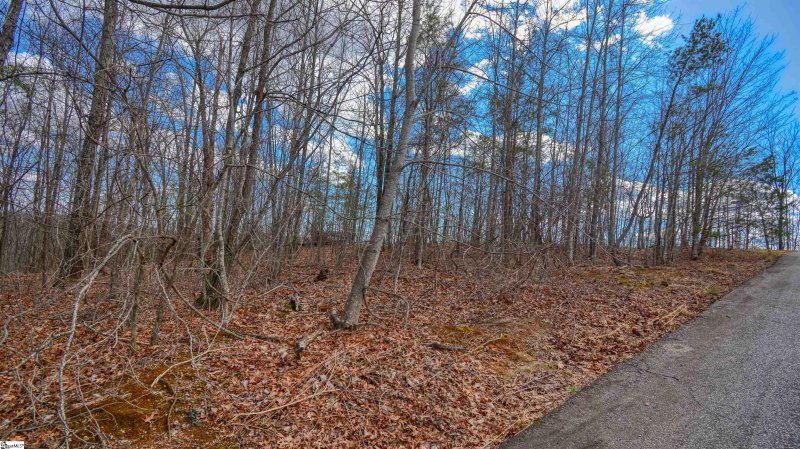 Property image 2 at 00 Treasure Trail, Cleveland, SC 29661