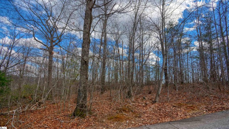 Property image 3 at 00 Treasure Trail, Cleveland, SC 29661