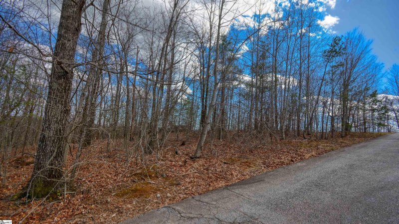 Property image 4 at 00 Treasure Trail, Cleveland, SC 29661