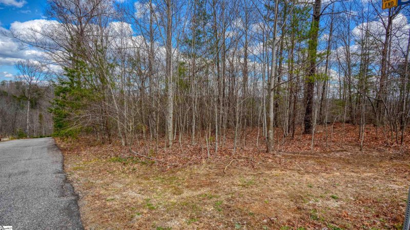 Property image 5 at 00 Treasure Trail, Cleveland, SC 29661