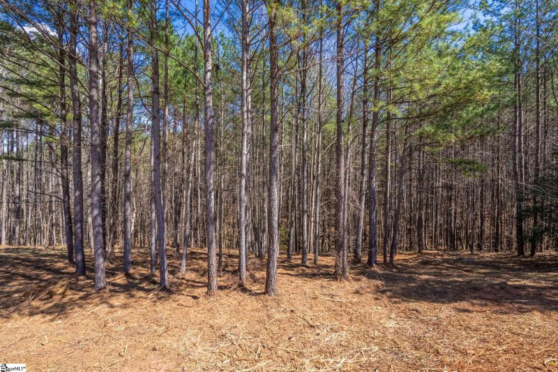 Property image 2 at 0 Lightwind Court, Seneca, SC 29672