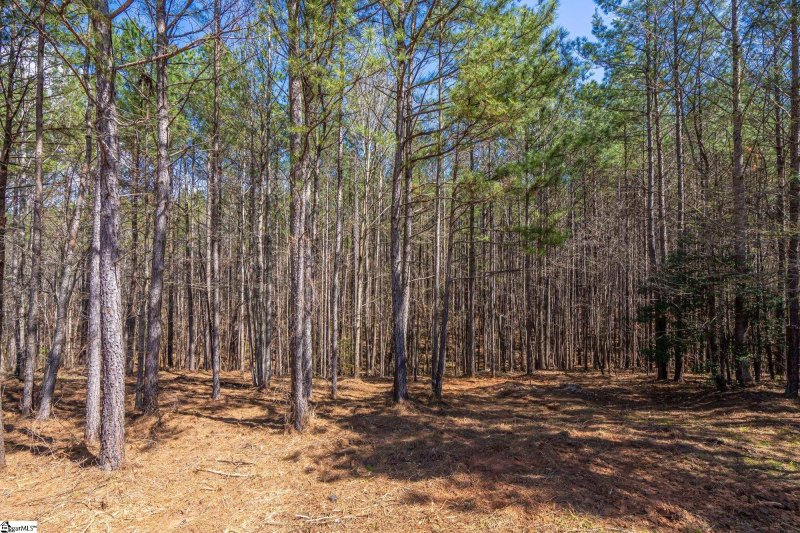 Property image 4 at 0 Lightwind Court, Seneca, SC 29672