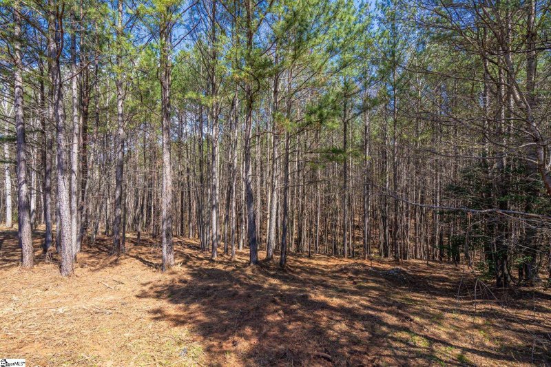 Property image 5 at 0 Lightwind Court, Seneca, SC 29672