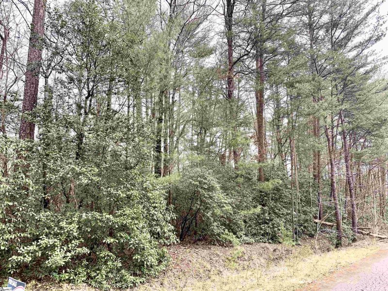 Property image 2 at 322 Gauley Falls Road, Pickens, SC 29671