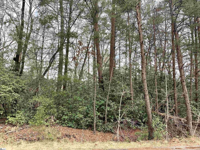 Property image 5 at 322 Gauley Falls Road, Pickens, SC 29671