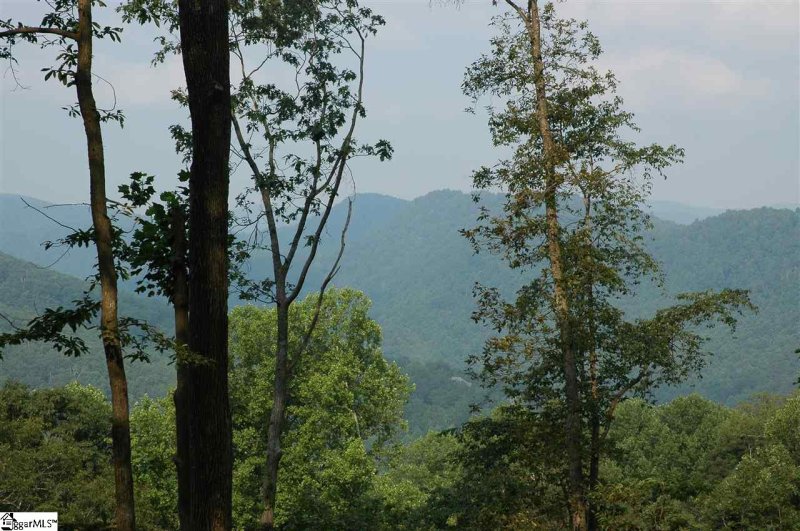 Property image 3 at 278 Bella Vista Court, Zirconia, NC 28790