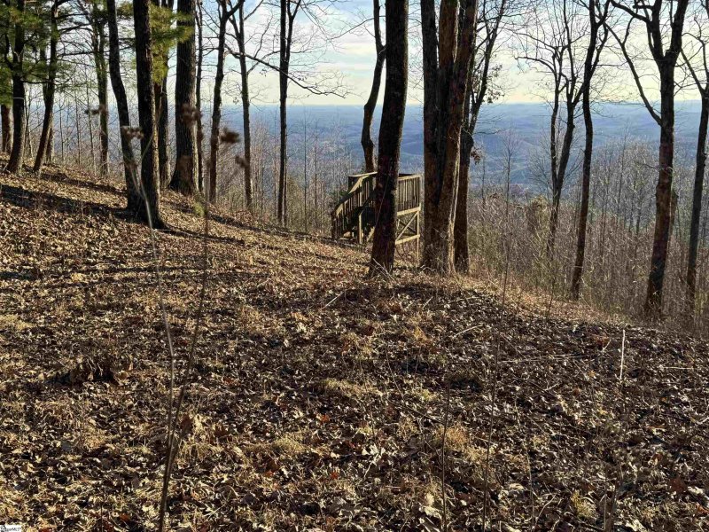 246 Bella Vista Court