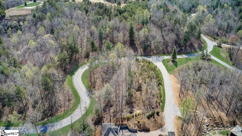 Property image 5 at 0 Royal Oaks Court, Six Mile, SC 29682