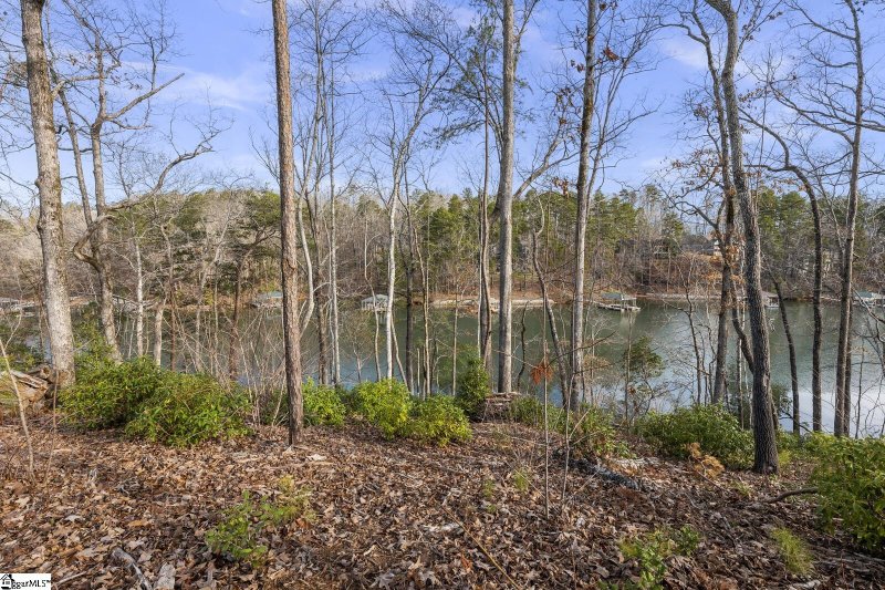 Property image 2 at 000 Left Fork Cove, Seneca, SC 29672