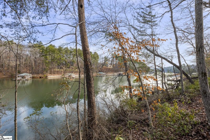 Property image 3 at 000 Left Fork Cove, Seneca, SC 29672