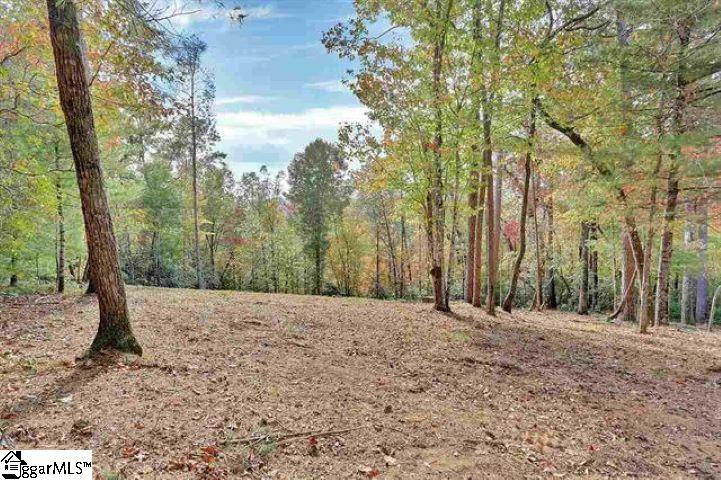 Property image 2 at 119 Oolenoy Court, Pickens, SC 29671