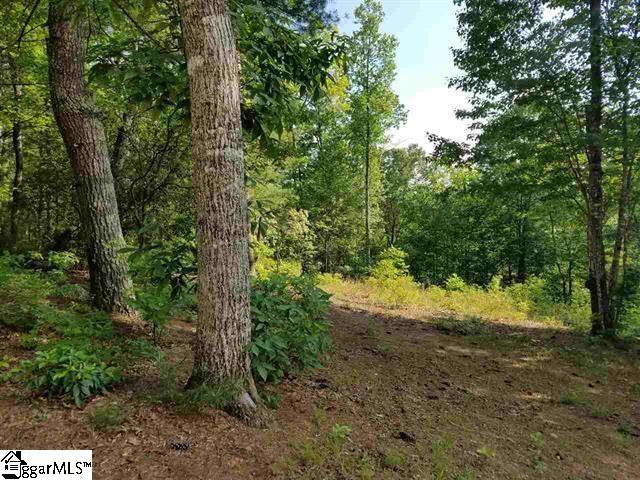 Property image 3 at 119 Oolenoy Court, Pickens, SC 29671